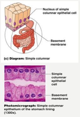 simple_columnar.png